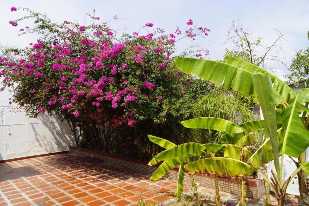 Hotel Mar Di Plata Barranquilla  Exterior photo
